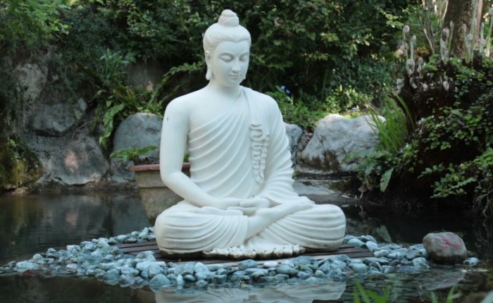 Denver Cultural Meetup at the Compassionate Dharma Cloud&nbsp;Monastery